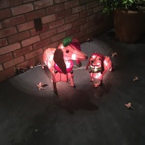 Meet your Posher, Angel